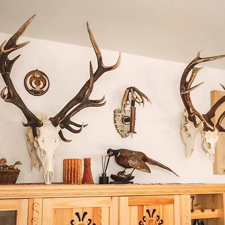 Kukułka Z Jacuzzi Zakopane