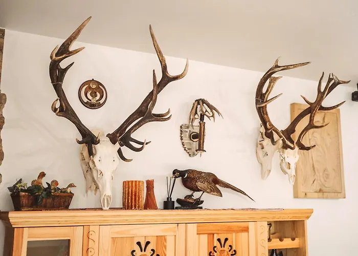 Gosciniec Kukulka Z Jacuzzi Zakopane